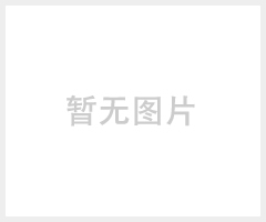 不锈钢肉丸打浆机、全自动打浆机